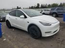 Tesla Model Y Image 7