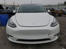 Tesla Model Y Image 4