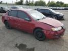 Saturn Ion Level 2 Image 11