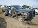 Ford F-250 Super Duty Image 13