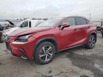  Salvage Lexus NX