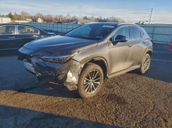  Salvage Lexus NX