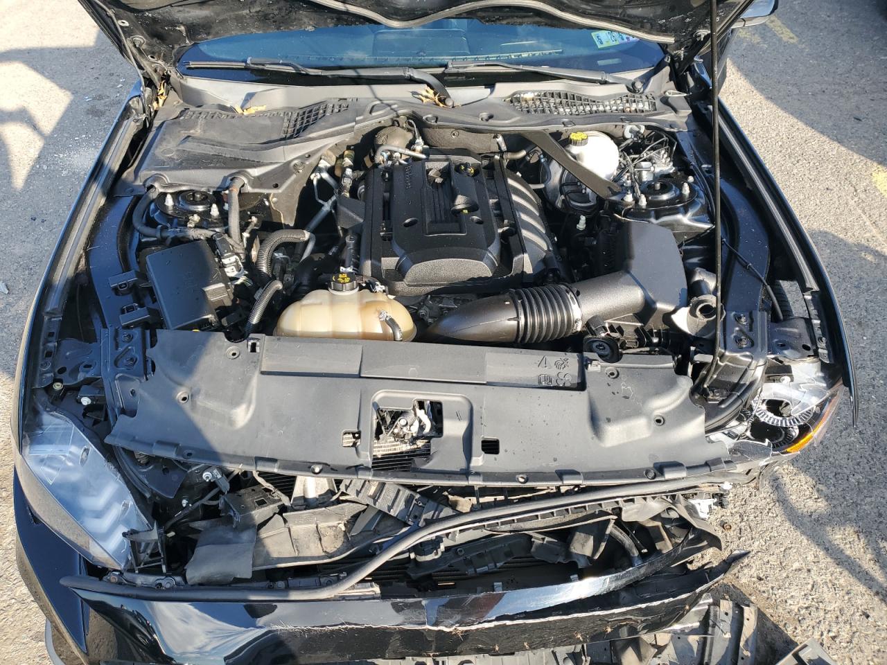 Ford Mustang Image 8