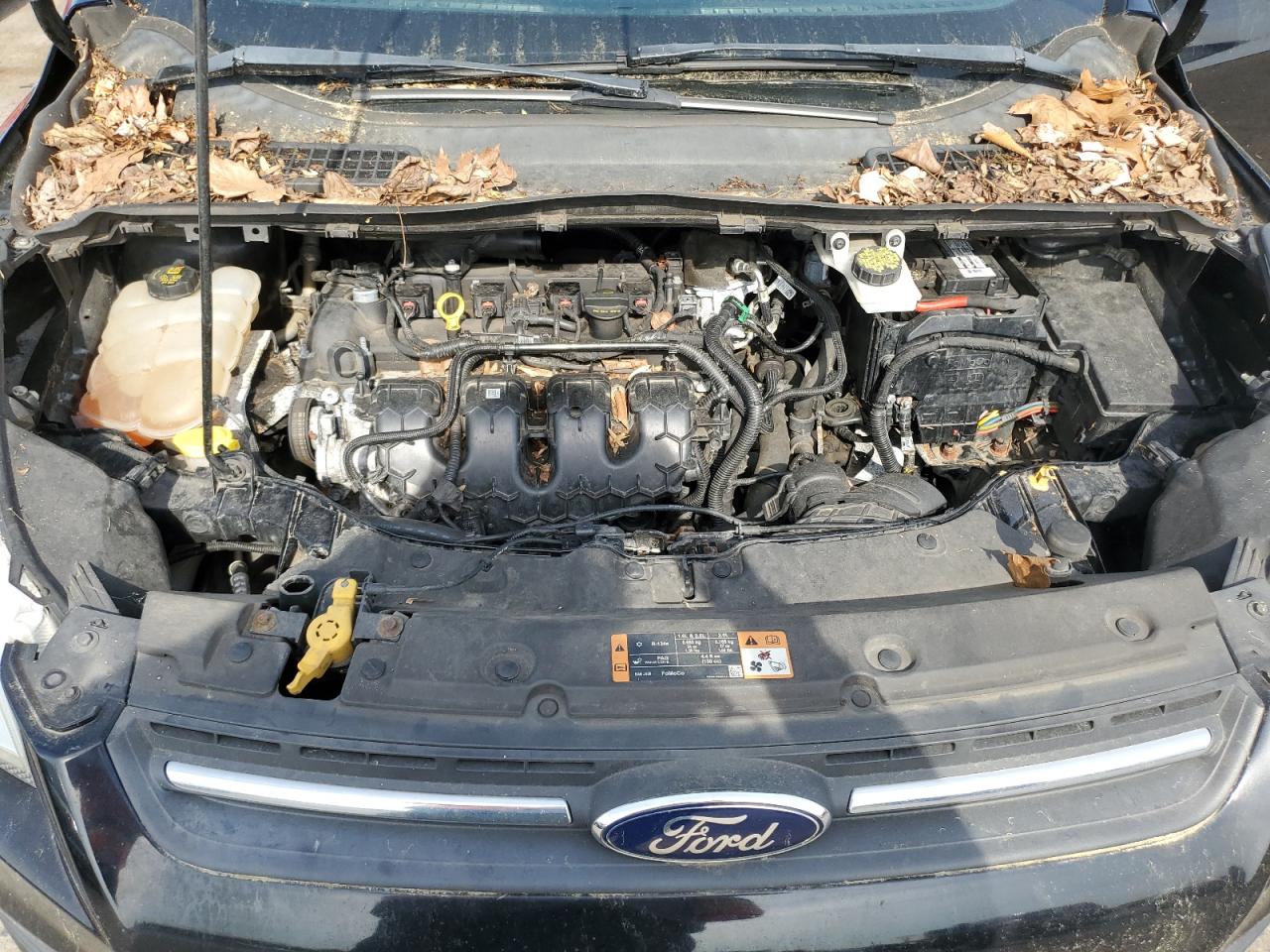 Ford Escape Se Image 8