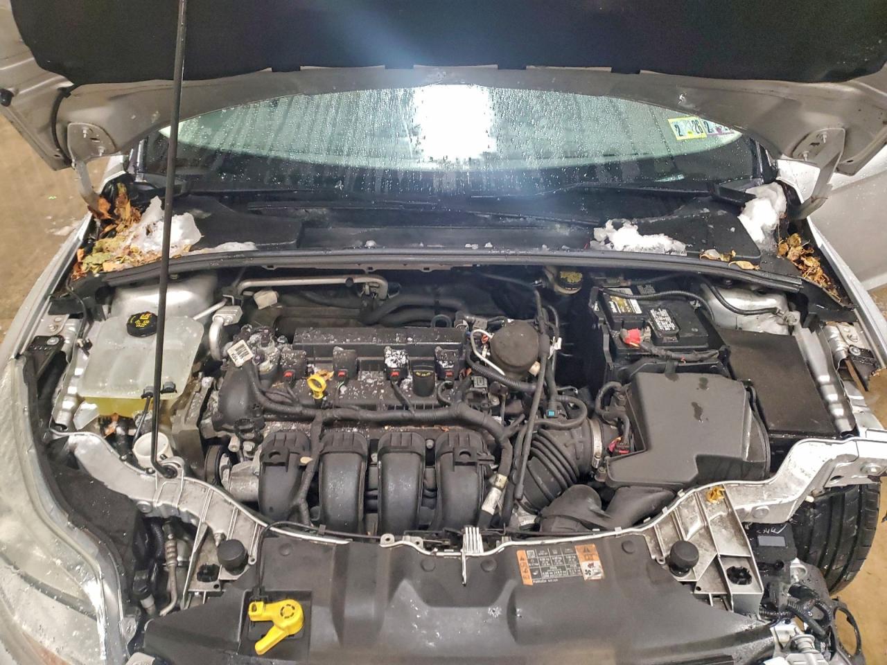 Ford Focus Se Image 7