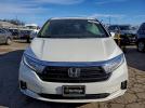 Honda Odyssey Elite Image 3