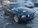 Ford Mustang Gt Image 1
