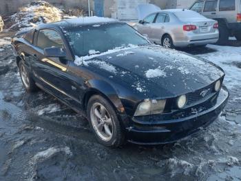  Salvage Ford Mustang