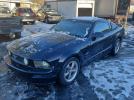 Ford Mustang Gt Image 4