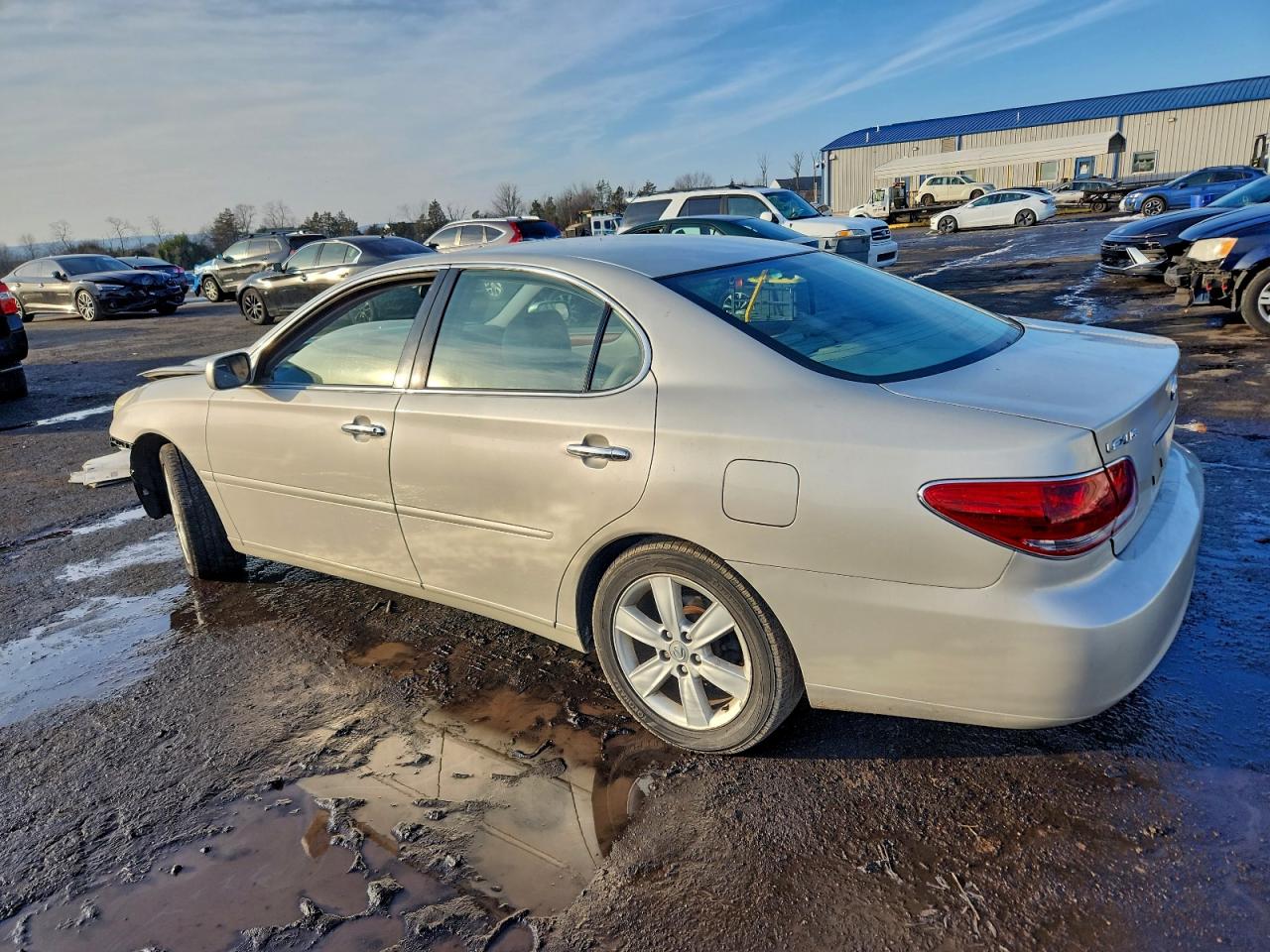 Lexus Es 330 Image 12