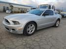 Ford Mustang Image 1