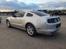 Ford Mustang Image 3