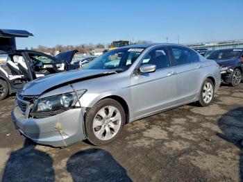 2010 Honda Accord 1HGCP2F74AA******