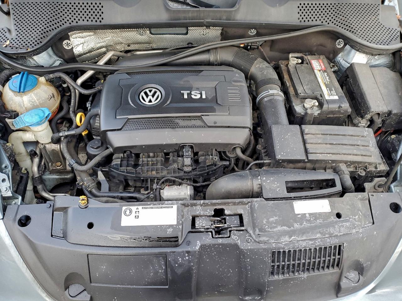 Volkswagen Beetle S/se Image 10