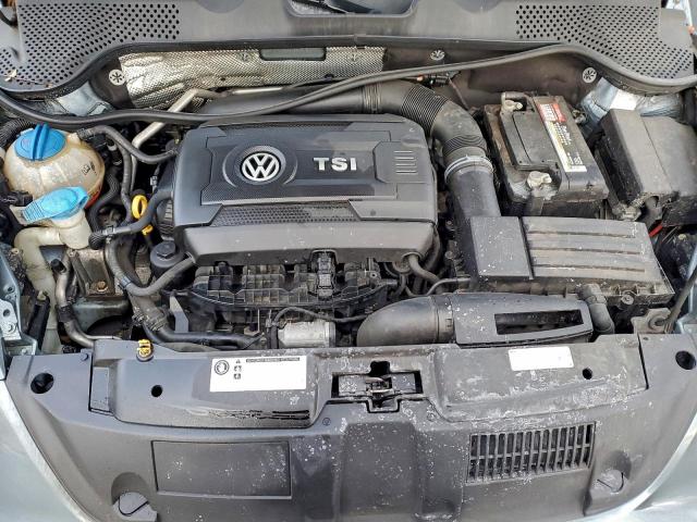 Volkswagen Beetle S/se Image 10