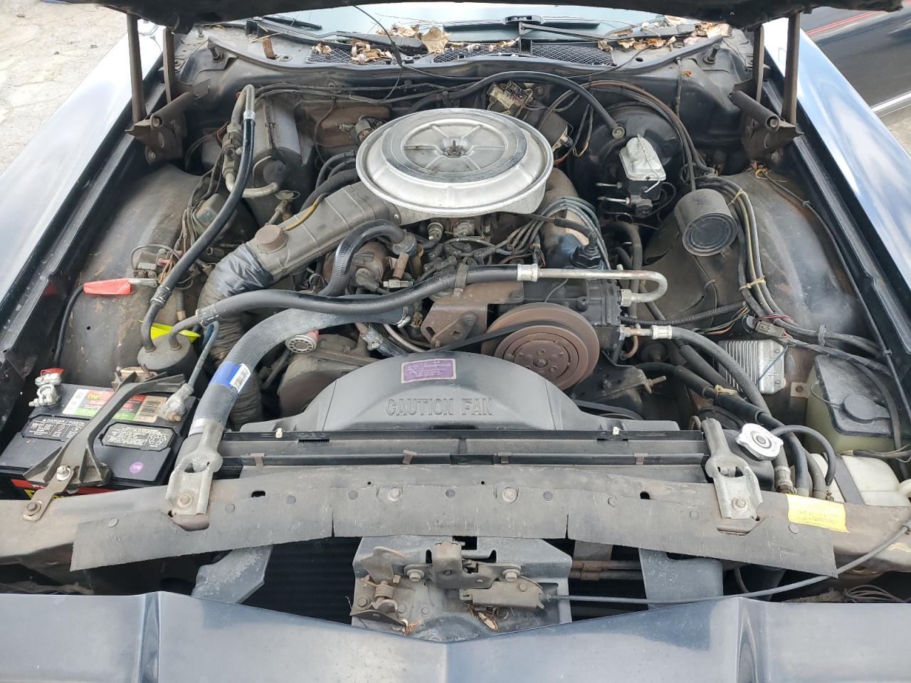 Ford Thunderbird Image 9