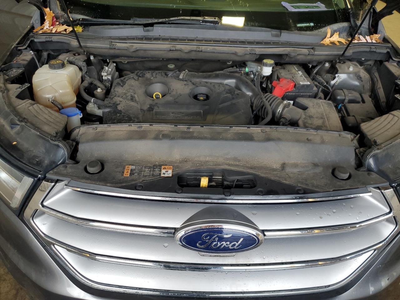 Ford Edge Titanium Image 8