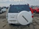 Honda Crv Se Image 4