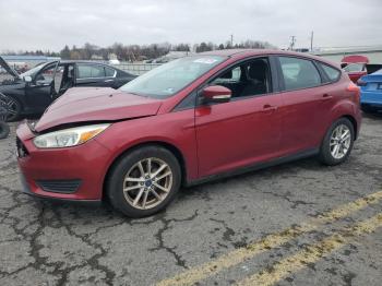  Salvage Ford Focus