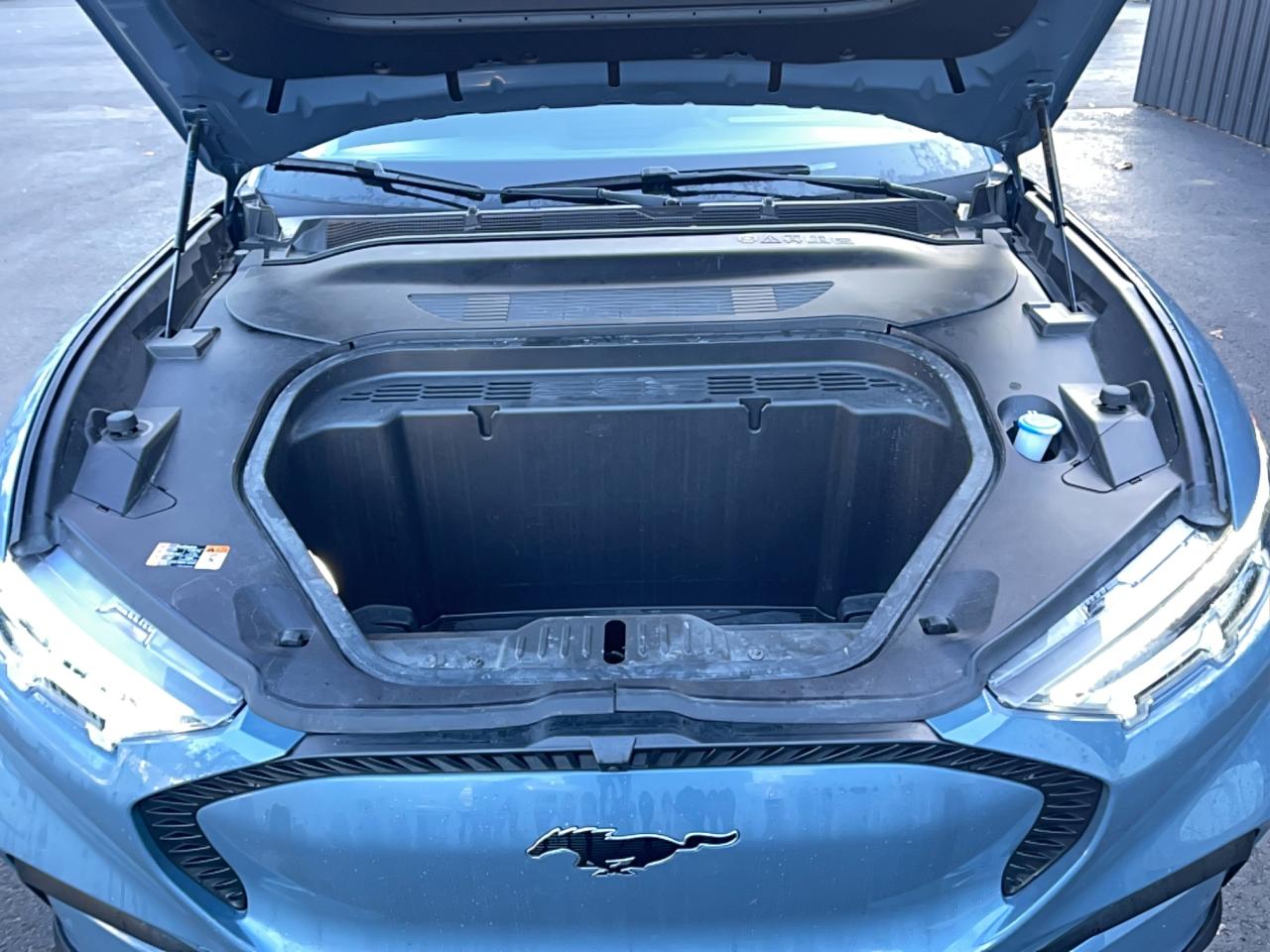 Ford Mustang Select Image 10