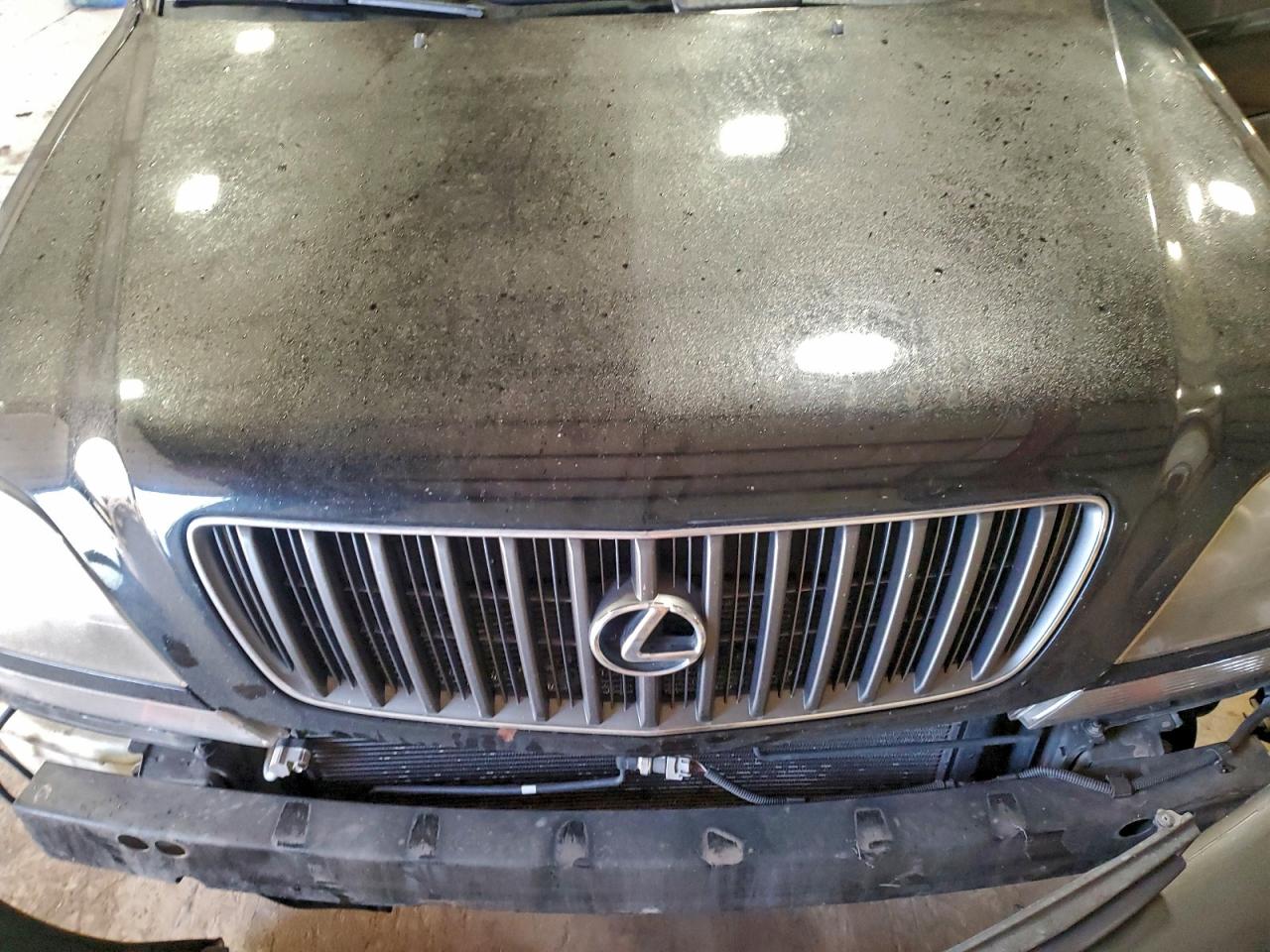 Lexus RX 300 Image 8