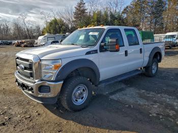 Salvage Ford F-250
