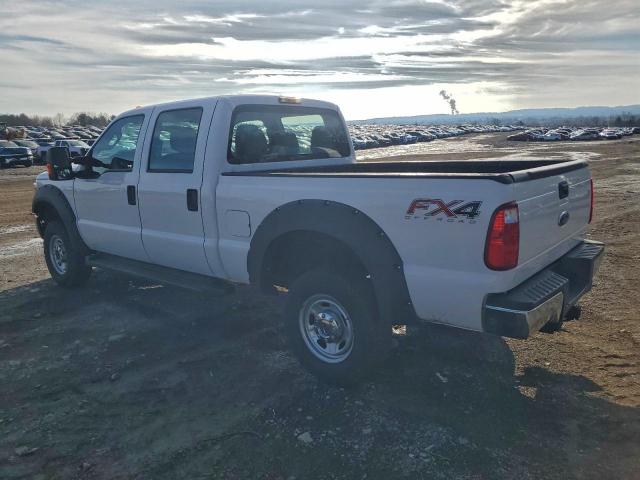 Ford F-250 Super Duty Image 10