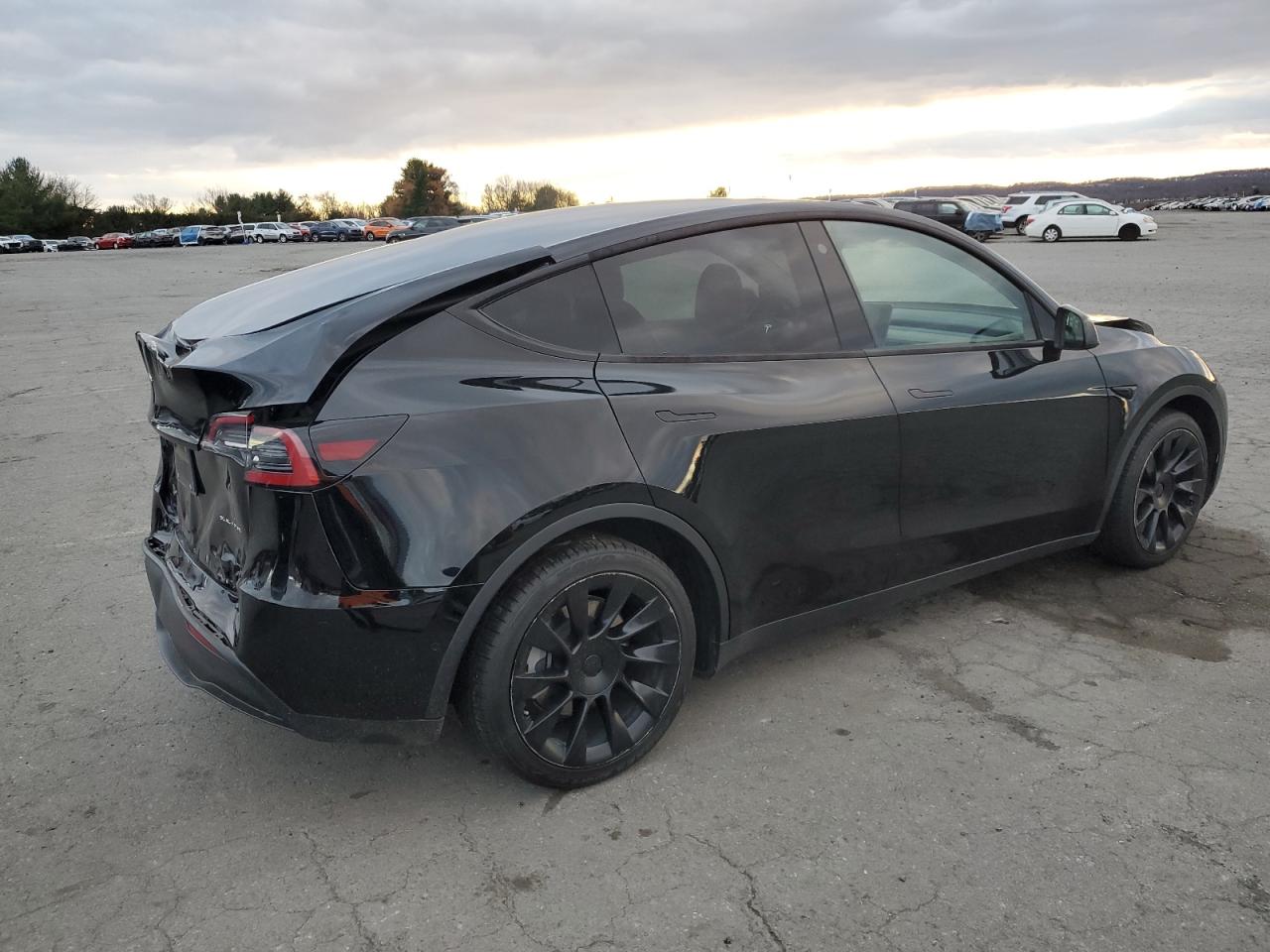 Tesla Model Y Image 5