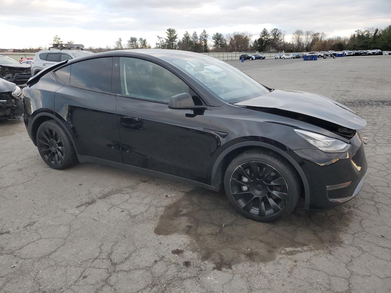 Tesla Model Y Image 8