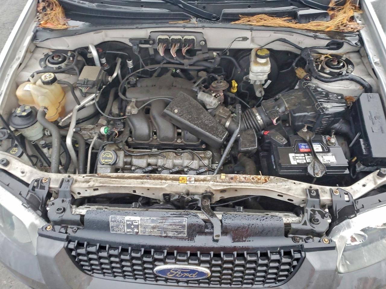 Ford Escape Xlt Image 9