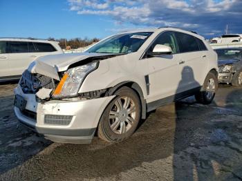 2011 Cadillac SRX 3GYFNDEY1BS******