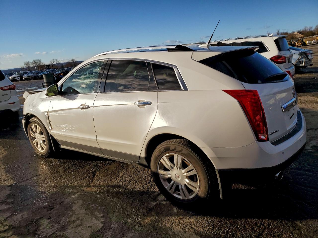 Cadillac SRX Luxury Collection Image 6
